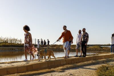 Guided tour of the salt pans of Trapani and the Salt Museum - Understanding the salt process you can actually picture