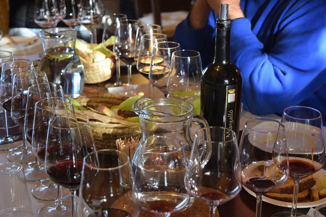 Guided Wine and Olive oil tasting - Meeting Point and Timing: Arrive Early Enough to Relax