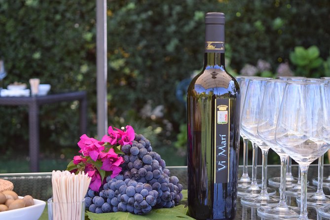 Guided Wine and Olive oil tasting - Buying Bottles and Extra-Virgin Olive Oil on Site