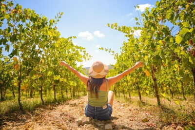 Half day Chianti Vineyard Escape from Florence with Wine Tastings - Stop 1: the first estate tasting (wines, olive oil, cellar visits)