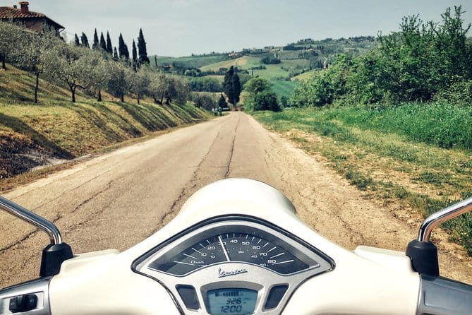 Half day Chianti Vineyard Escape from Florence with Wine Tastings - What you actually taste: reds, pairings, and how to avoid palate overload