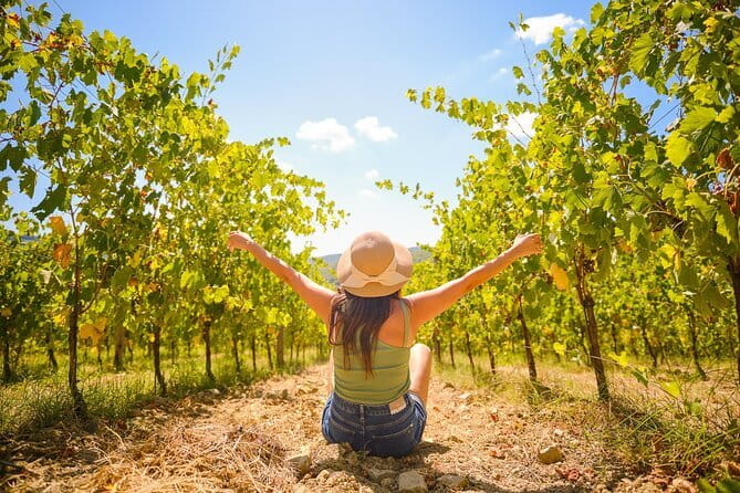 Half day Chianti Vineyard Escape from Florence with Wine Tastings - Stop 1: the first estate tasting (wines, olive oil, cellar visits)