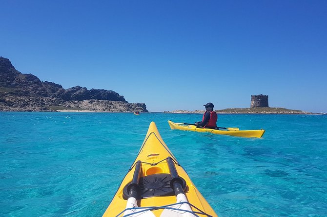 Half Day Sea Kayak Trip - Why This Kayak Trip Works So Well
