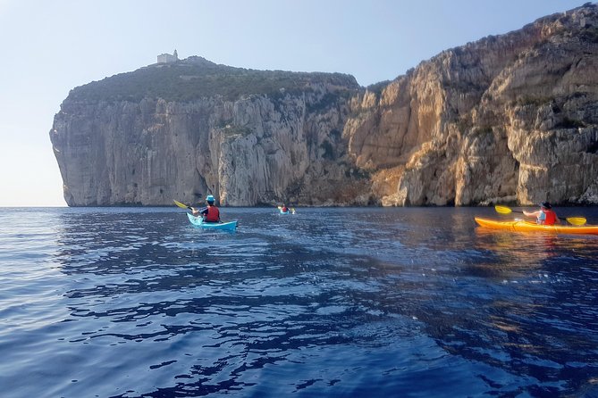 Half Day Sea Kayak Trip - What the Guide Actually Does (And Why It Matters)