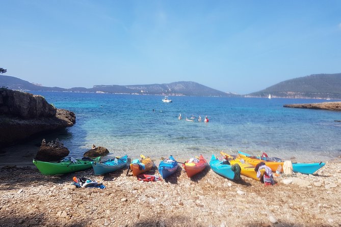 Half Day Sea Kayak Trip - The Value Question: Is $96.79 Worth It?