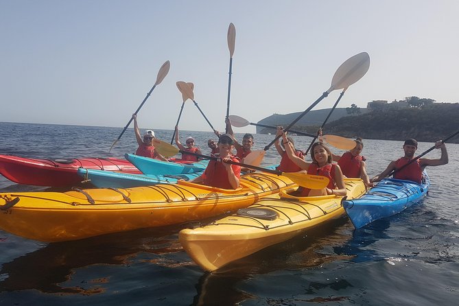 Half Day Sea Kayak Trip - Half-Day in Name, Realistic Timing on the Coast