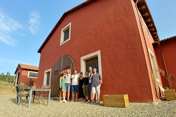 Half-Day Small-Group Wine Experience with Wine Expert from Cagliari - Wine Pairing That Actually Makes Sense