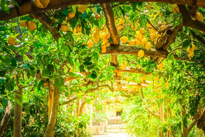 Hands-On Cooking Class & Farmhouse Tour on the Amalfi Coast - Best timing and how to get there without stress