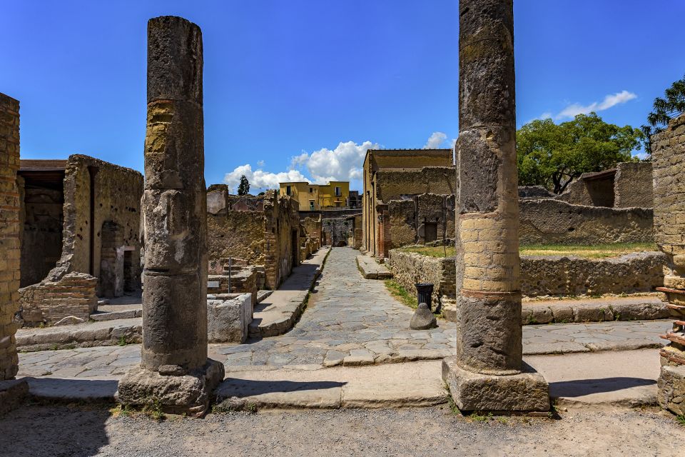 Herculaneum 2-Hour Private Guided Tour - Key highlights at a glance