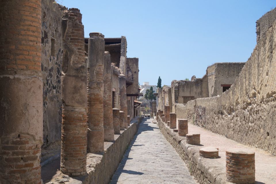Herculaneum 2-Hour Private Guided Tour - The Murals and “Why It’s Preserved” Story