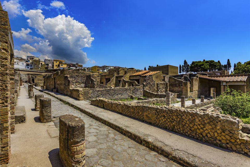 Herculaneum 2-Hour Private Guided Tour - Guides You May Encounter: Daniela, Alessia, Teresa, and Anna