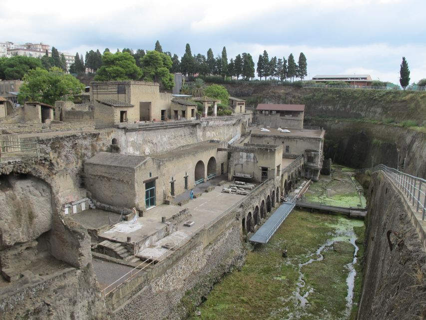 Herculaneum: 3D Walking Tour with Skip-the-Line Ticket - Key highlights I’d plan around