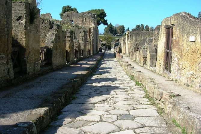 Herculaneum Guided Group Tour from Naples - Pickup in Naples: the part that saves your sanity