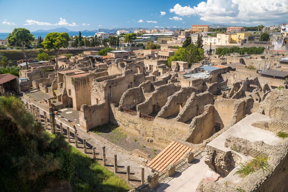 Herculaneum: Skip-the-Line Entry Ticket with Audio Guide - Skip-the-line entry, but don’t miss the practical steps at the office