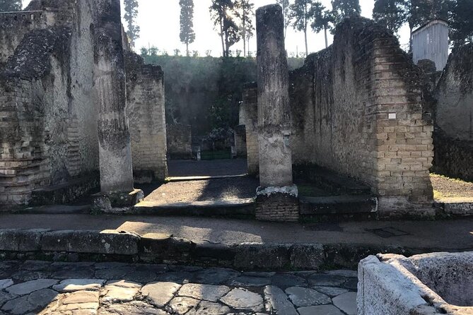 Herculaneum - Small Group Tour - The two-hour route: private houses and the city’s everyday rhythm