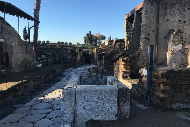 Herculaneum - Small Group Tour - Who should book this small-group Herculaneum tour