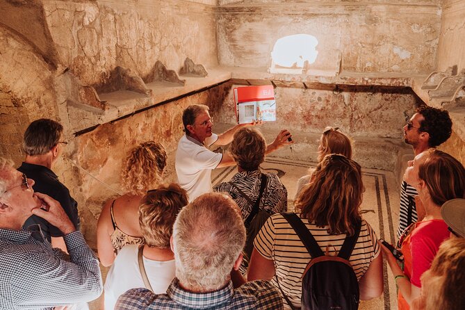 Herculaneum Small Group Tour and Ticket With an Archaeologist - Guide Quality Makes or Breaks This Tour