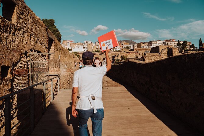 Herculaneum Small Group Tour and Ticket With an Archaeologist - Pacing, Comfort, and Who This Tour Suits Best
