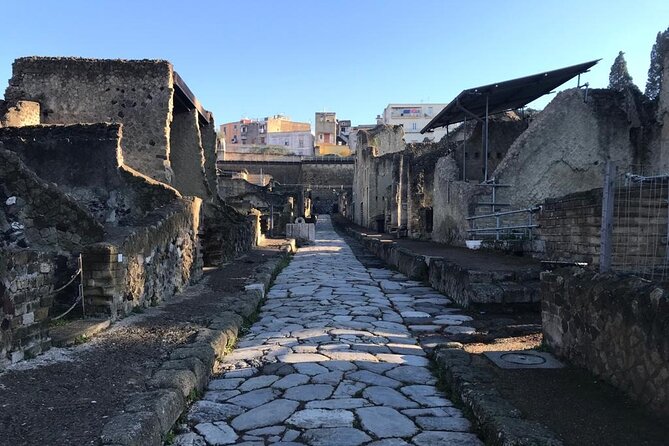 Herculaneum - Small Group Tour - The Parco Acheologico di Ercolano start: small group, big clarity