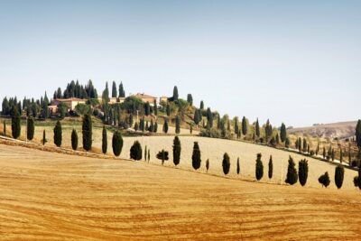 Hidden Castles & Chianti Wine Experience– Small Group - Meeting point in Siena: what to expect on arrival