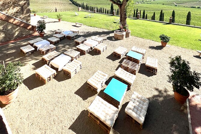 Hidden Castles & Chianti Wine Experience– Small Group - What you actually taste: 7 wines, olive oil, balsamic, and snacks