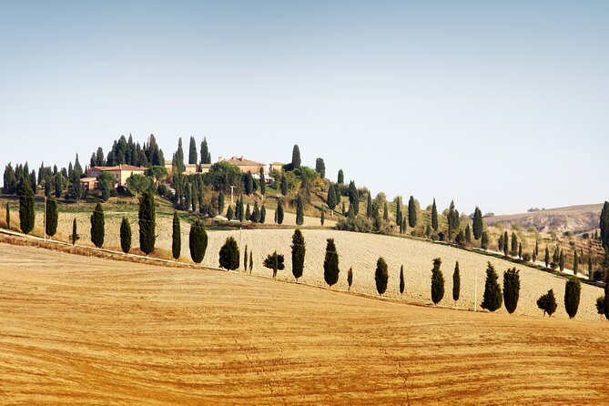 Hidden Castles & Chianti Wine Experience– Small Group - Meeting point in Siena: what to expect on arrival