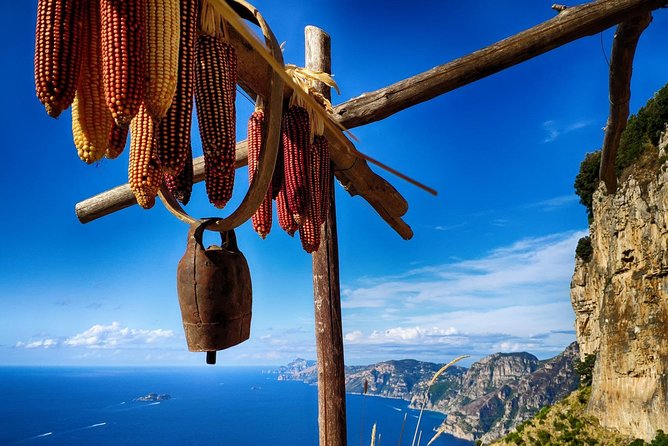 Hike The Path Of Gods from Sorrento - Walking the Path of the Gods: vineyards, farm life, and cliff views