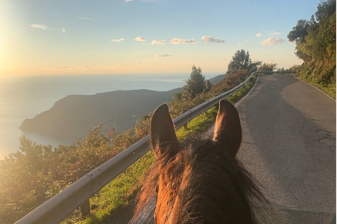 Horse ride on the coast of Monterosso al Mare Cinque Terre - Quick Highlights Before You Go