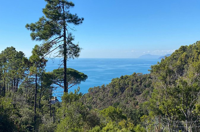 Horse ride on the coast of Monterosso al Mare Cinque Terre - The Ride Itself: Wood Paths, Coastal Views, and a Calm Pace