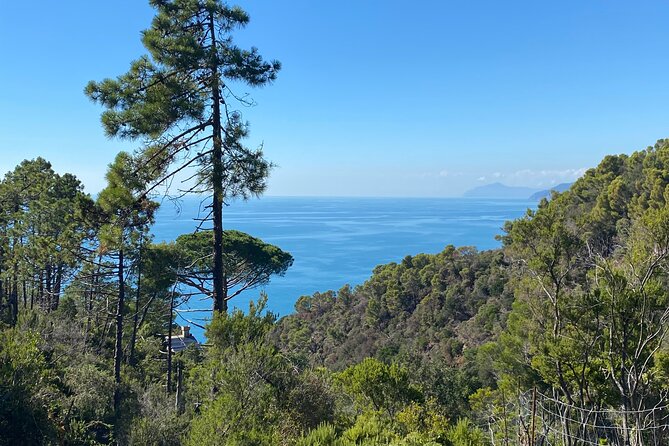 Horse ride on the coast of Monterosso al Mare Cinque Terre - Comfort Matters: What You Must Bring (and Why)