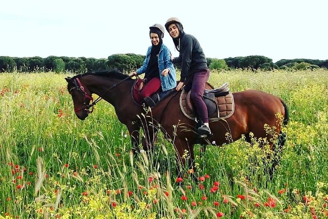 Horse Sanctuary & Trail Ride in Ostia Antica - The café meeting point and the gelato welcome