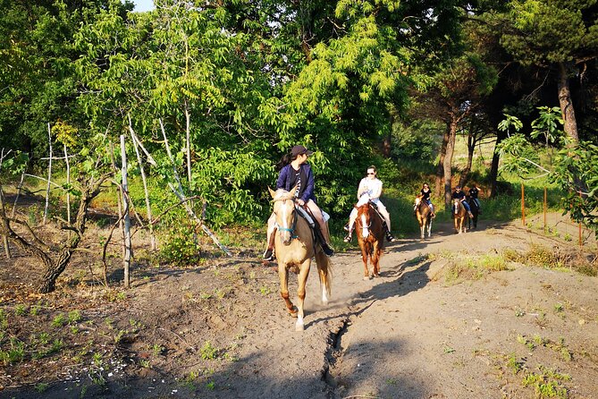 Horseback Riding on Vesuvius - Logistics you’ll actually care about on the day