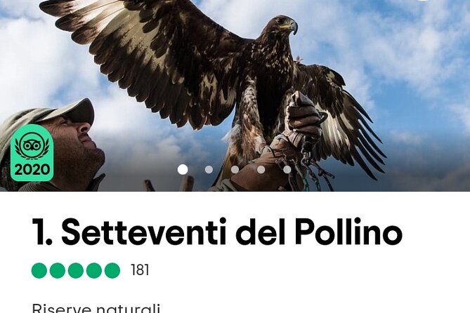 Interactive Educational Course on Birds of Prey - Price and value: is $42.34 per person worth it?
