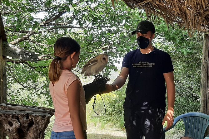 Interactive Educational Course on Birds of Prey - Who should book this raptor experience