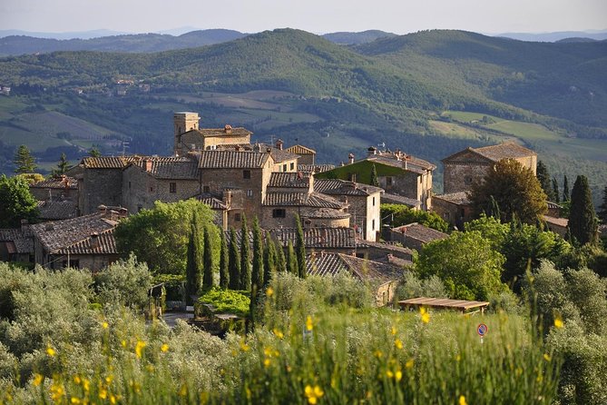 It's Wine Time! 2 wineries & farm-to-table lunch—max 8 pp - The guides make the difference: Matteo, Alessio, Ben, and others