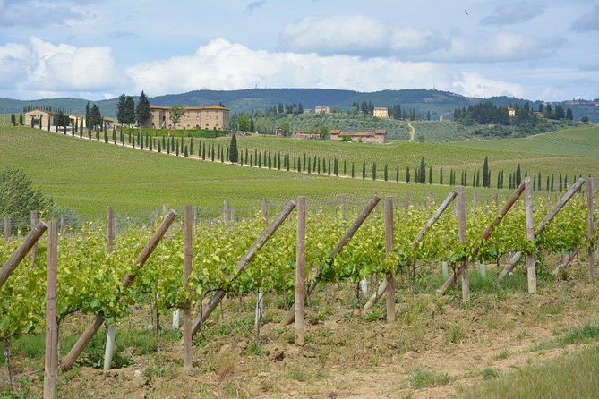 It's Wine Time! 2 wineries & farm-to-table lunch—max 8 pp - Transportation and comfort: the Florence-to-country drive reality