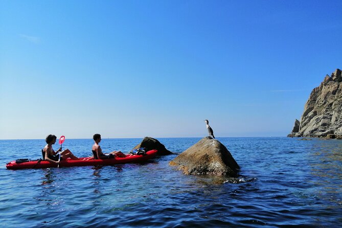 Kayak experience with Carnassa Tour in Cinque Terre + Snorkeling - The paddle plan: what happens on the water