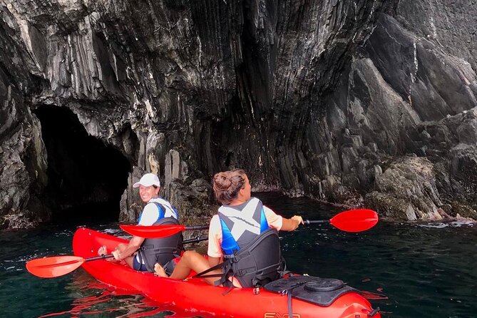 Kayak experience with Carnassa Tour in Cinque Terre + Snorkeling - Wildlife and sea views: caves, waterfalls, and real coastline angles