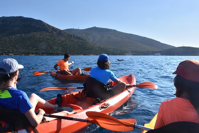 Kayak tour with aperitif and dolphins - Kayak, Snorkel, and Aperitif: Why Cala Moresca + Figarolo Works