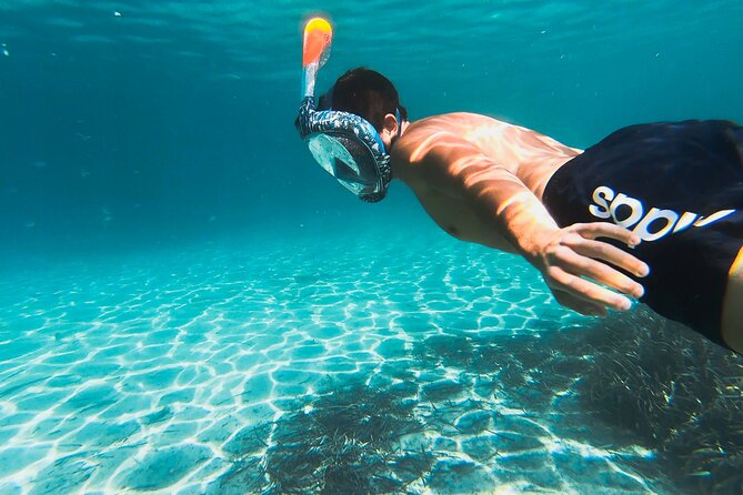 Kayak tour with aperitif and dolphins - Cala Moresca Swim + Snorkel Stop: Clear Water, Fish, and Starfish