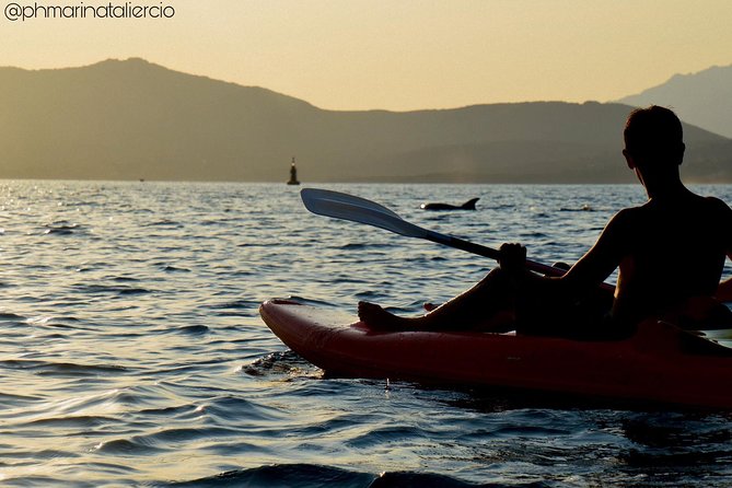 Kayak tour with aperitif and dolphins - Passing Capo Figari: A Scenic Paddle Leg That Sets Up the Island