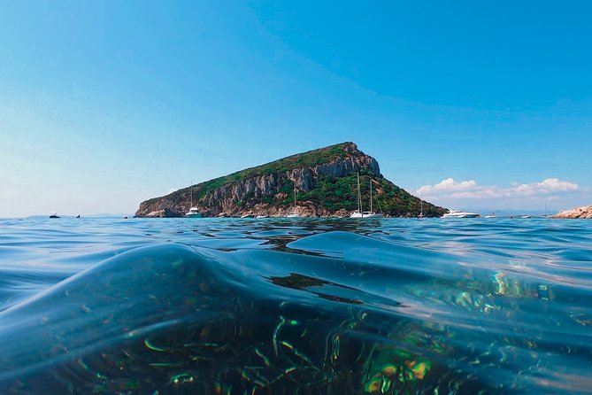 Kayak tour with aperitif and dolphins - Group Size, Pacing, and Fitness: Is This Too Much or Too Little?
