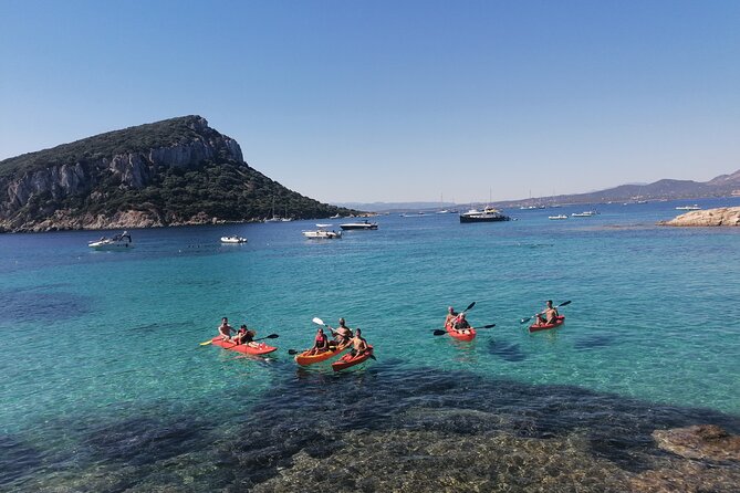 Kayak tour with aperitif and dolphins - Price and Value: What $54.42 Buys You in Real Terms