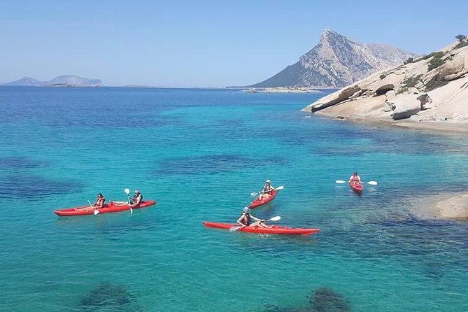 Kayak Tour with Snorkeling and Local Aperitif - Marine Cave Snorkel: Where Fish and Starfish Come Into Play
