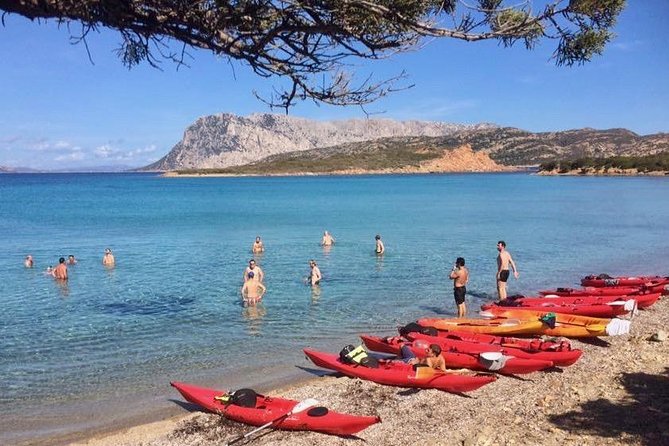 Kayak Tour with Snorkeling and Local Aperitif - Who Should Book This Kayak and Snorkeling Tour