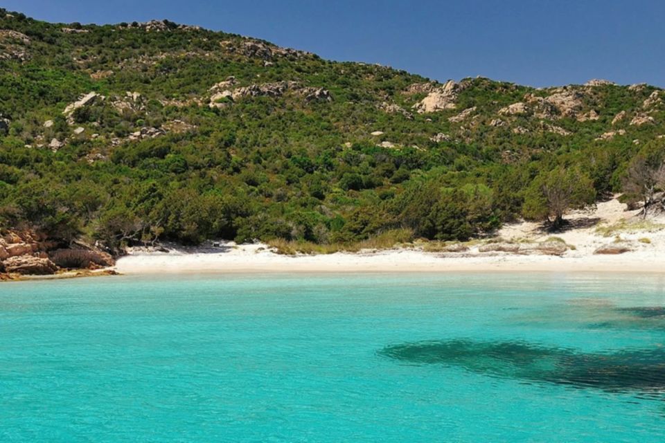 La Maddalena: Caprera,Spargi,Budelli & Santa Maria Boat Tour - Budelli and the natural pools at Cavaliere Beach
