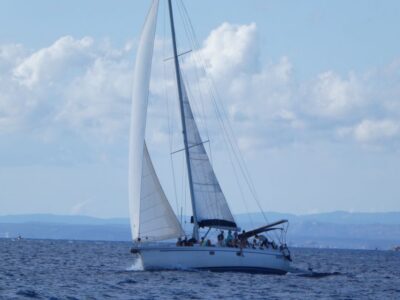 La Maddalena: Full-Day Sailing Trip - The Porto Pollo Start: What to Do Before You Cast Off
