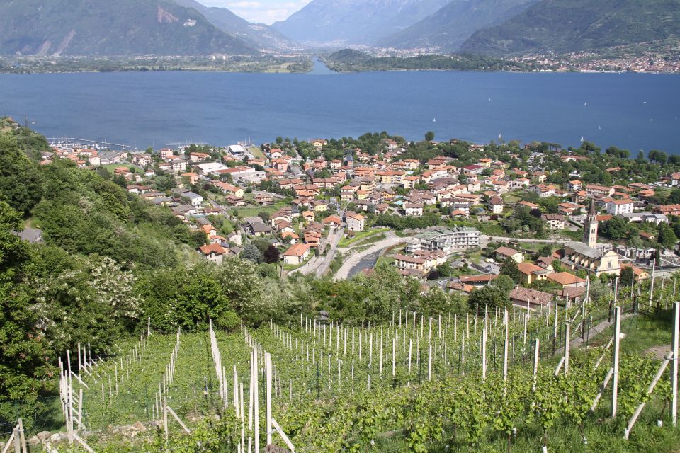 Lake Como: Winery Tour with Wine Tasting - The Best Part: A Winery Visit That Feels Like a Real Table, Not a Script