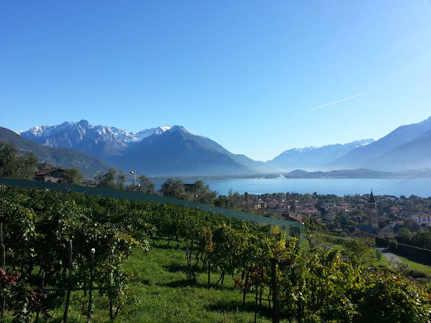Lake Como: Winery Tour with Wine Tasting - Inside the Cellar Tour: Seeing Where Wine Aids Itself (Aging, Mostly)