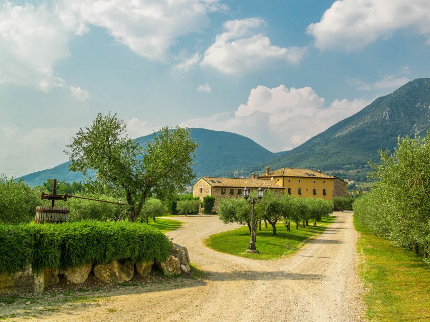 Lake Garda: Garda Hills Wine Tour and Tasting - FAQ